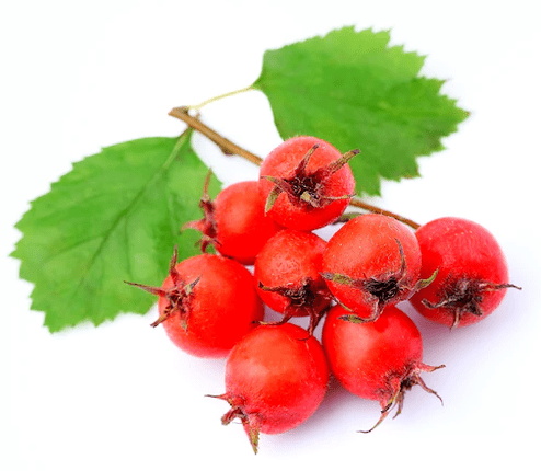 Hawthorn Tonerin