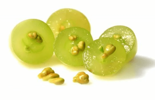 Szőlőmagolaj Tonerin